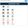 Essilor Tint 2