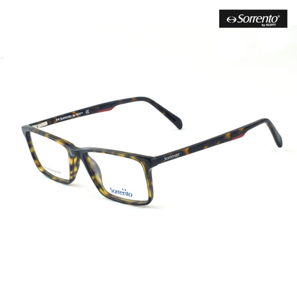 Sorrento SR 880 C4 1