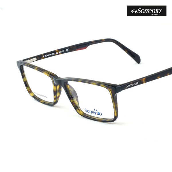Sorrento SR 880 C4 2