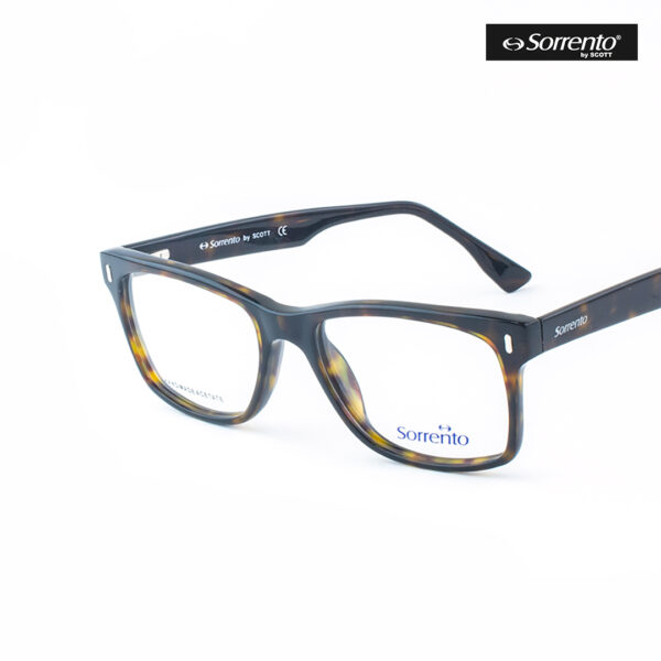 Sorrento SR898 C2 2 1